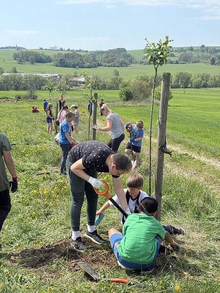 Povýsadbová péče (4. a 6. třída)