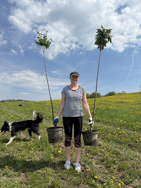 Povýsadbová péče (4. a 6. třída)