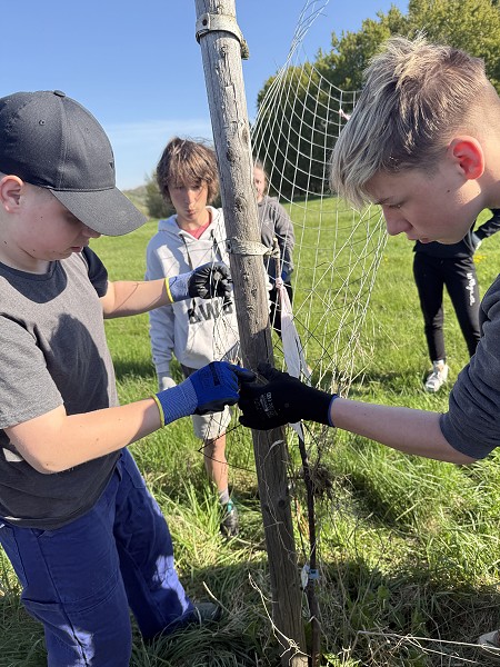 Povýsadbová péče (2. a 7. třída)