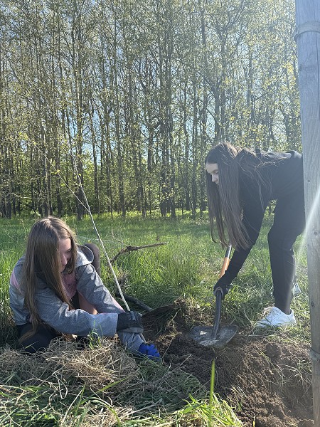 Povýsadbová péče (2. a 7. třída)