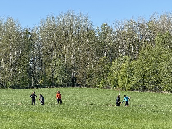Povýsadbová péče (2. a 7. třída)