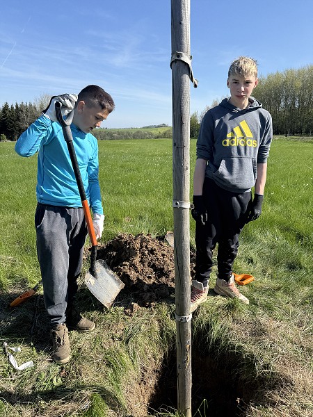 Povýsadbová péče (2. a 7. třída)