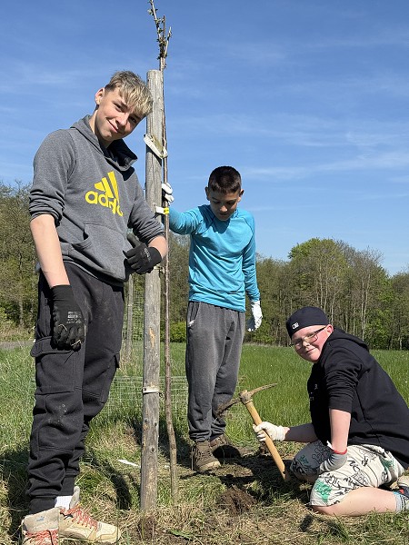Povýsadbová péče (2. a 7. třída)
