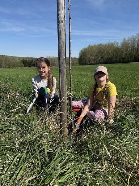 Povýsadbová péče (2. a 7. třída)