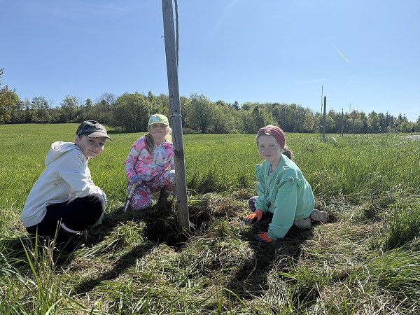 Povýsadbová péče (2. a 7. třída)