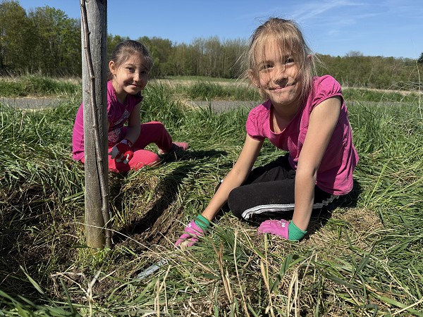 Povýsadbová péče (2. a 7. třída)