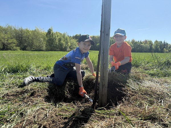 Povýsadbová péče (2. a 7. třída)