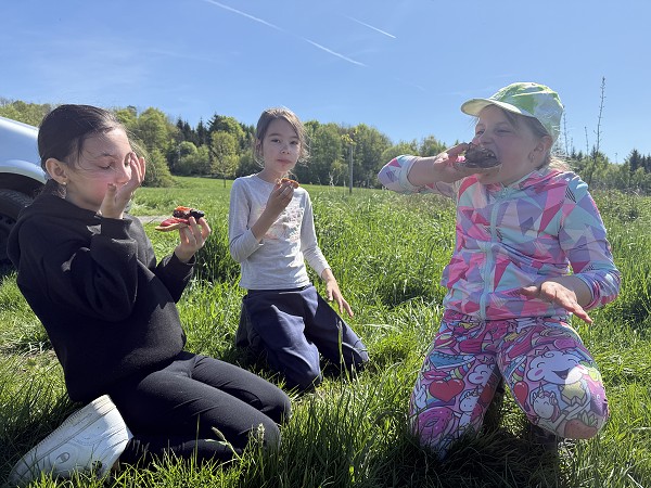 Povýsadbová péče (2. a 7. třída)