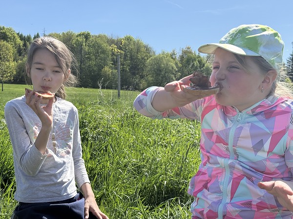 Povýsadbová péče (2. a 7. třída)