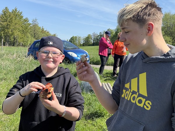 Povýsadbová péče (2. a 7. třída)