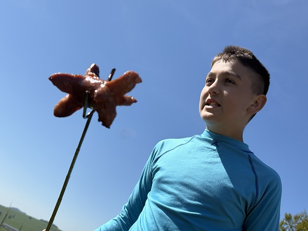 Povýsadbová péče (2. a 7. třída)