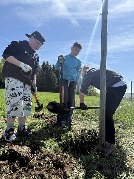 Povýsadbová péče (2. a 7. třída)