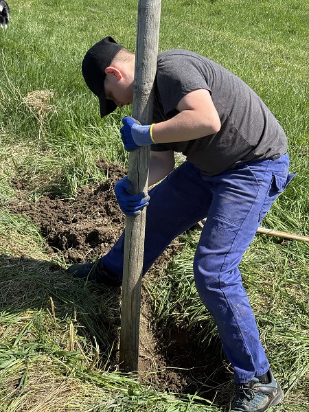 Povýsadbová péče (2. a 7. třída)