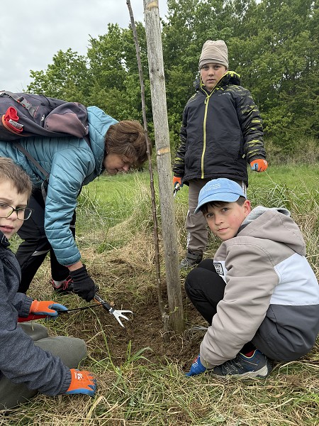 Povýsadbová péče (1., 3. a 8. třída)