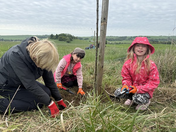 Povýsadbová péče (1., 3. a 8. třída)
