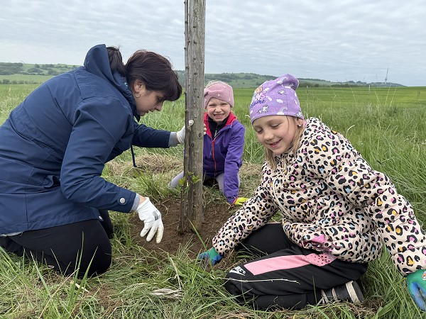 Povýsadbová péče (1., 3. a 8. třída)
