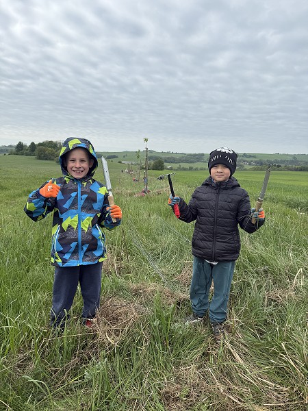 Povýsadbová péče (1., 3. a 8. třída)