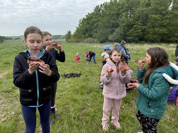 Povýsadbová péče (1., 3. a 8. třída)