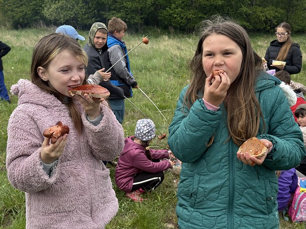 Povýsadbová péče (1., 3. a 8. třída)