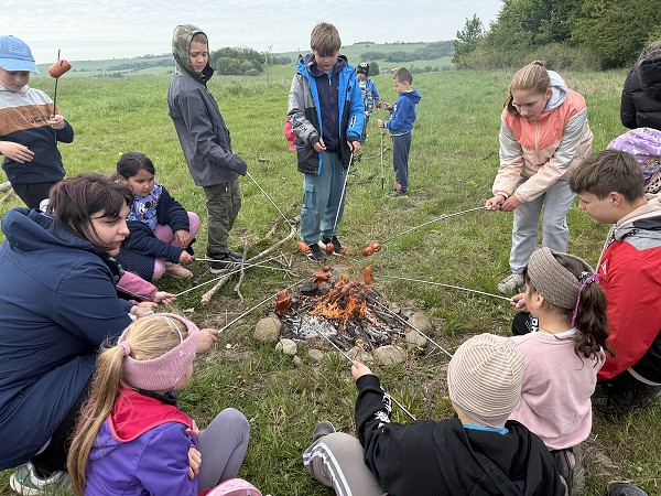 Povýsadbová péče (1., 3. a 8. třída)