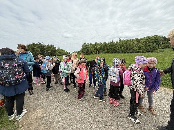 Povýsadbová péče (1., 3. a 8. třída)