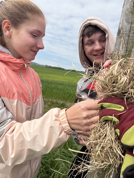 Povýsadbová péče (1., 3. a 8. třída)