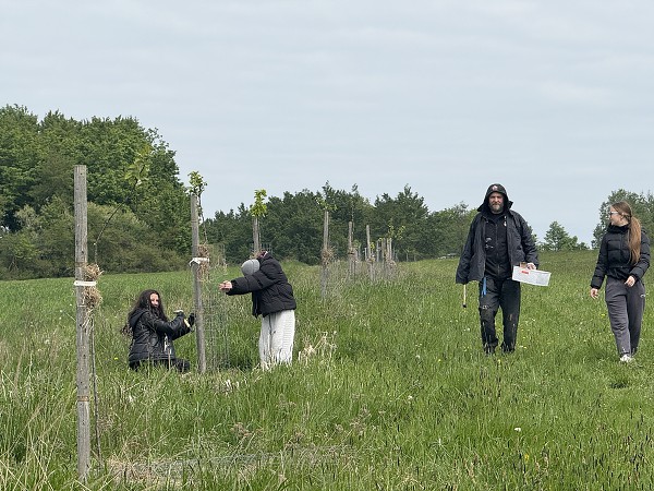 Povýsadbová péče (1., 3. a 8. třída)