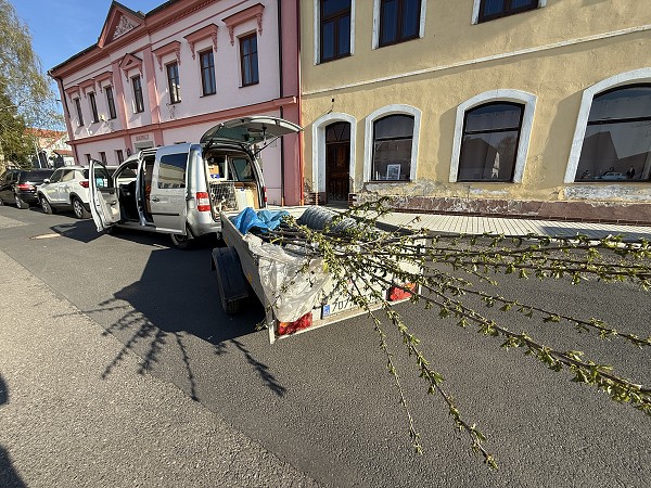 Povýsadbová péče (5. a 9. třída)