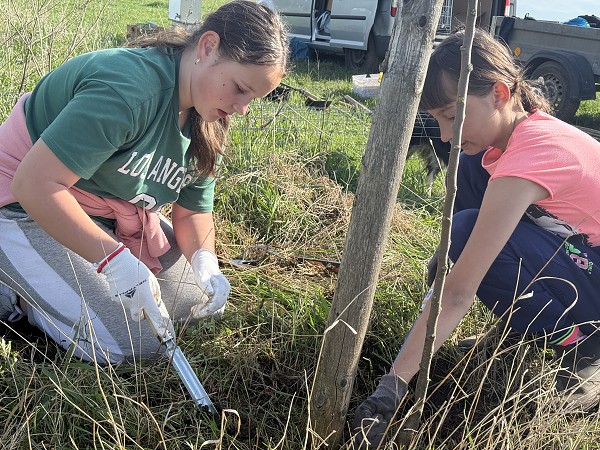 Povýsadbová péče (5. a 9. třída)