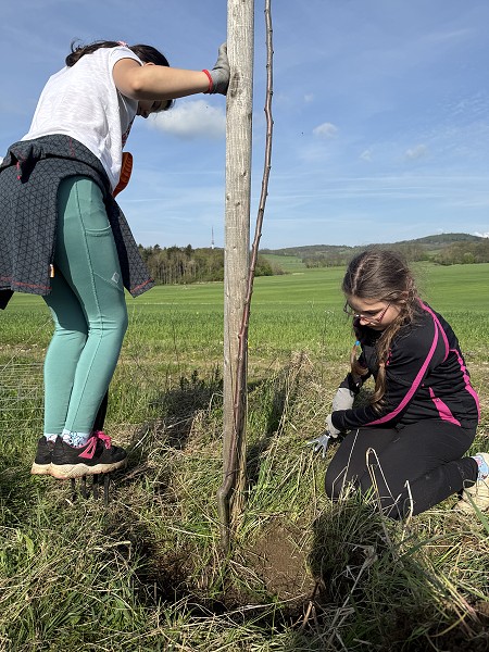 Povýsadbová péče (5. a 9. třída)