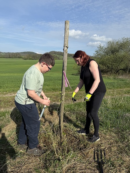 Povýsadbová péče (5. a 9. třída)