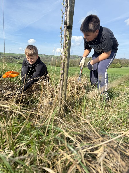 Povýsadbová péče (5. a 9. třída)