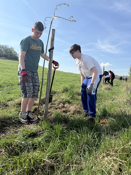 Povýsadbová péče (5. a 9. třída)