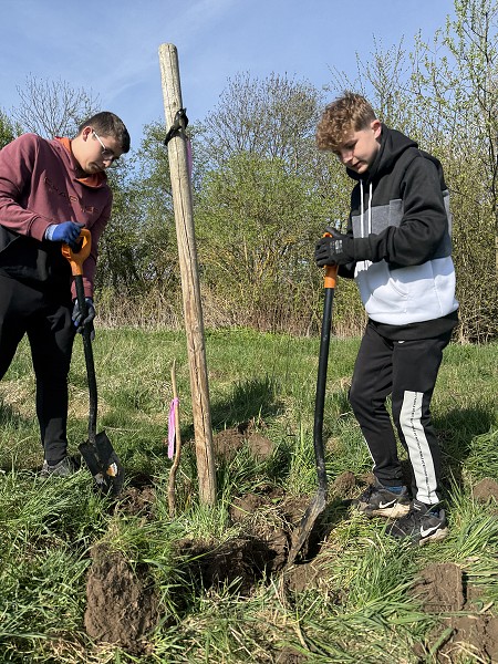 Povýsadbová péče (5. a 9. třída)