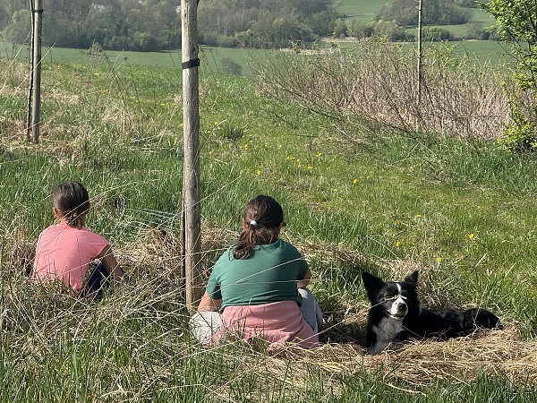 Povýsadbová péče (5. a 9. třída)