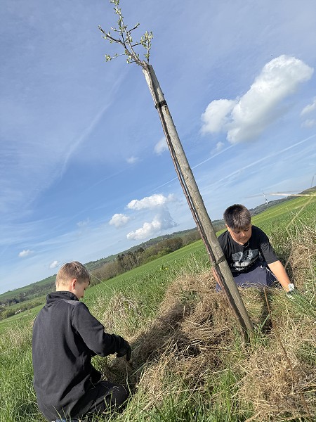 Povýsadbová péče (5. a 9. třída)