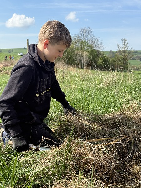 Povýsadbová péče (5. a 9. třída)