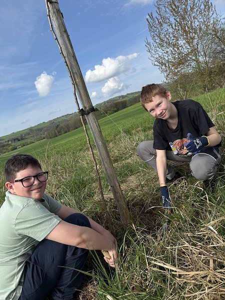 Povýsadbová péče (5. a 9. třída)