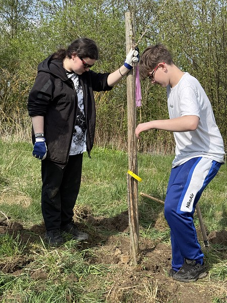 Povýsadbová péče (5. a 9. třída)