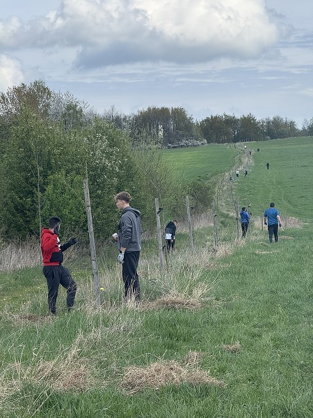 Povýsadbová péče (5. a 9. třída)