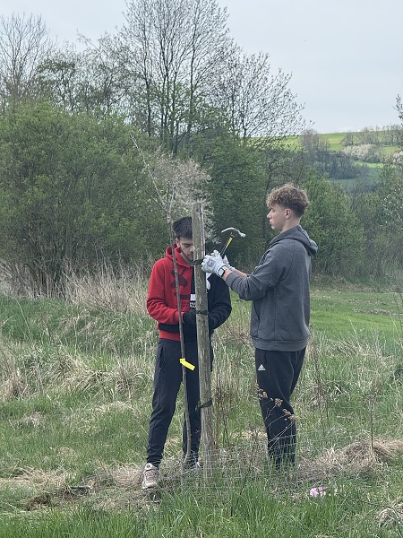 Povýsadbová péče (5. a 9. třída)