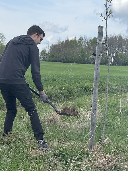 Povýsadbová péče (5. a 9. třída)