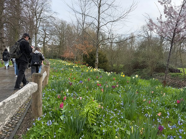 Cambridge, Greenwich