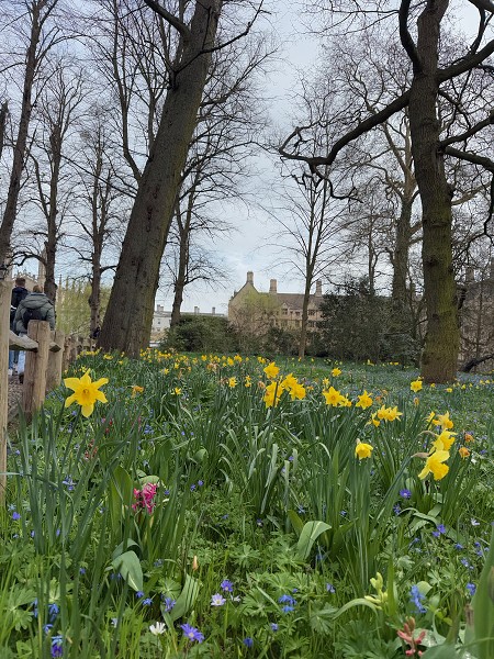 Cambridge, Greenwich