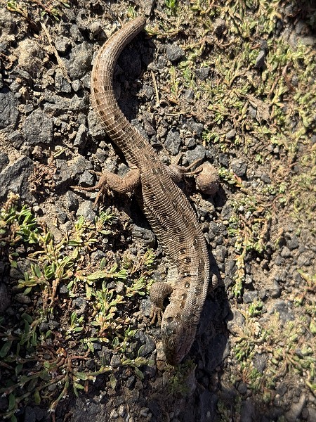 Aktivní září s 5. třídou