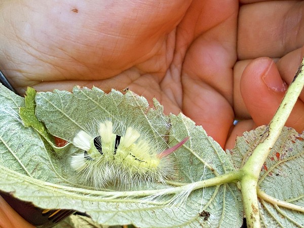 Aktivní září s 5. třídou