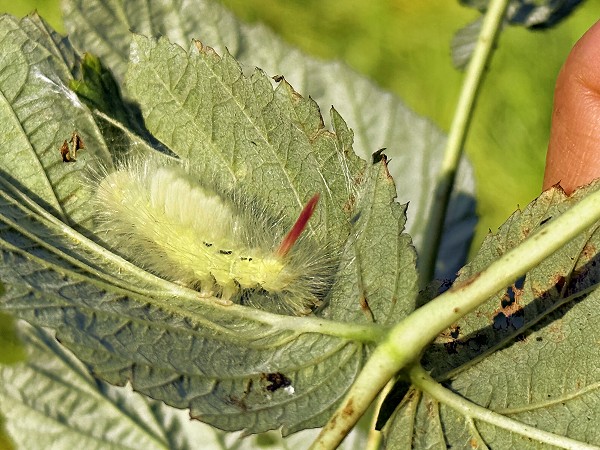 Aktivní září s 5. třídou
