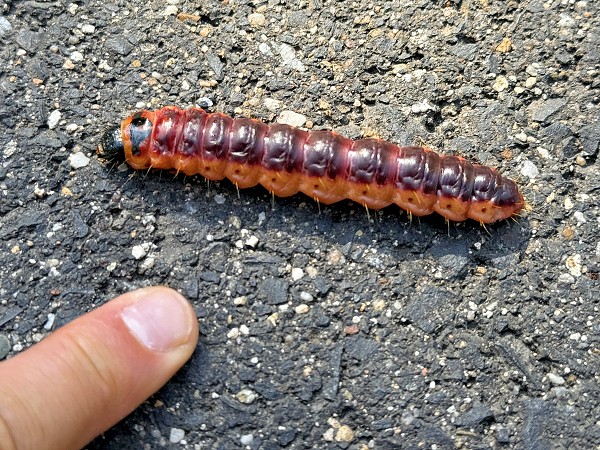 Aktivní září s 5. třídou