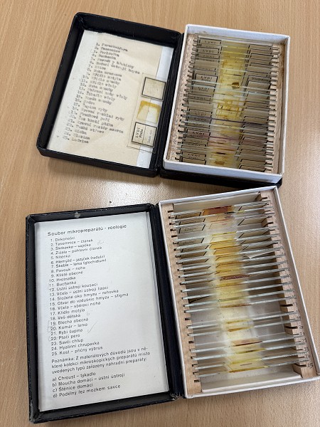 Šesťáci objevují mikrosvět