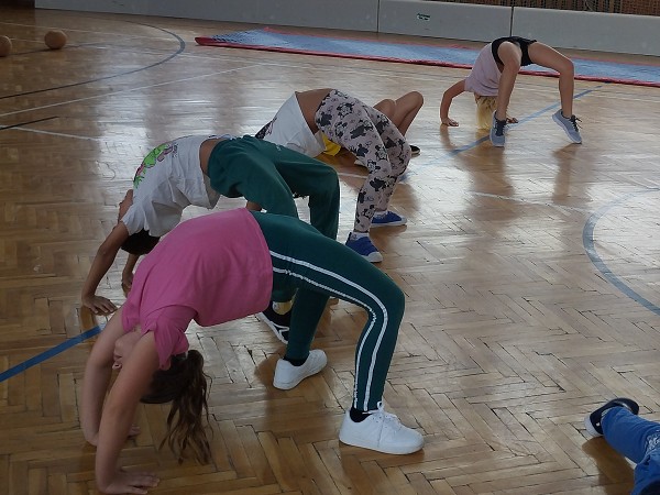 Překážková dráha